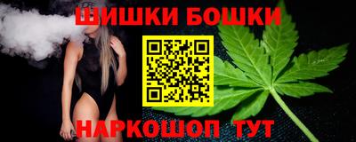 СК Сланцы